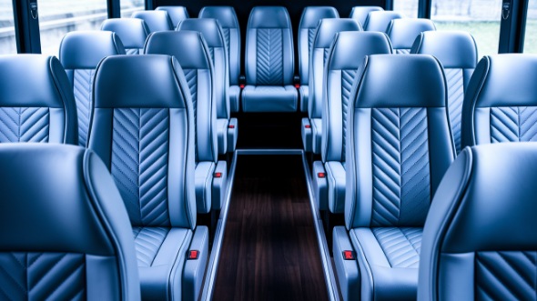 15 passenger minibus interior baton rouge